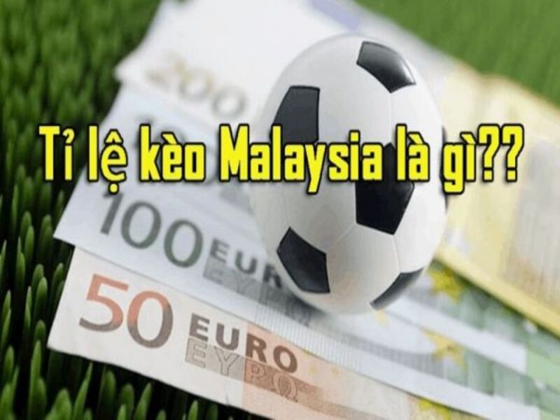 giai-dap-chi-tiet-ve-ty-le-keo-malaysia-la-gi