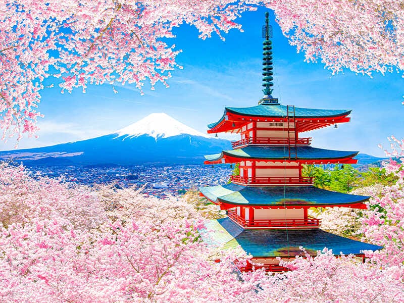 du-lich-nhat-ban-mua-nao-dep-nhat-kinh-nghiem-chon-thoi-diem-ly-tuong1