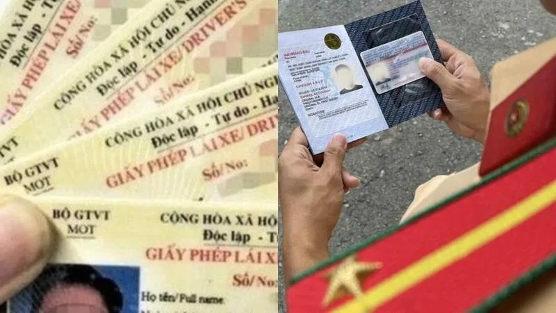 Giấy phép lái xe là gì? Những điều cần biết từ A đến Z