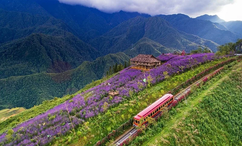 sa pa thuoc tinh nao vi tri dia ly va cam nang du lich chi tiet