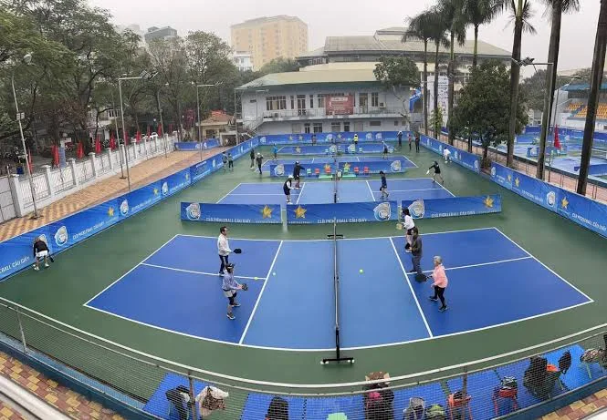Pickleball là môn gì