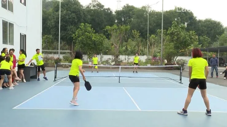 Pickleball là môn gì