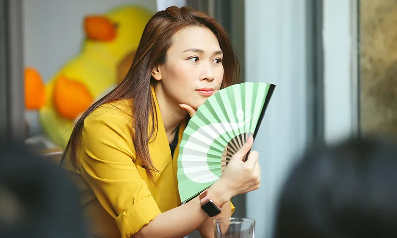 tiểu sử Mỹ Tâm